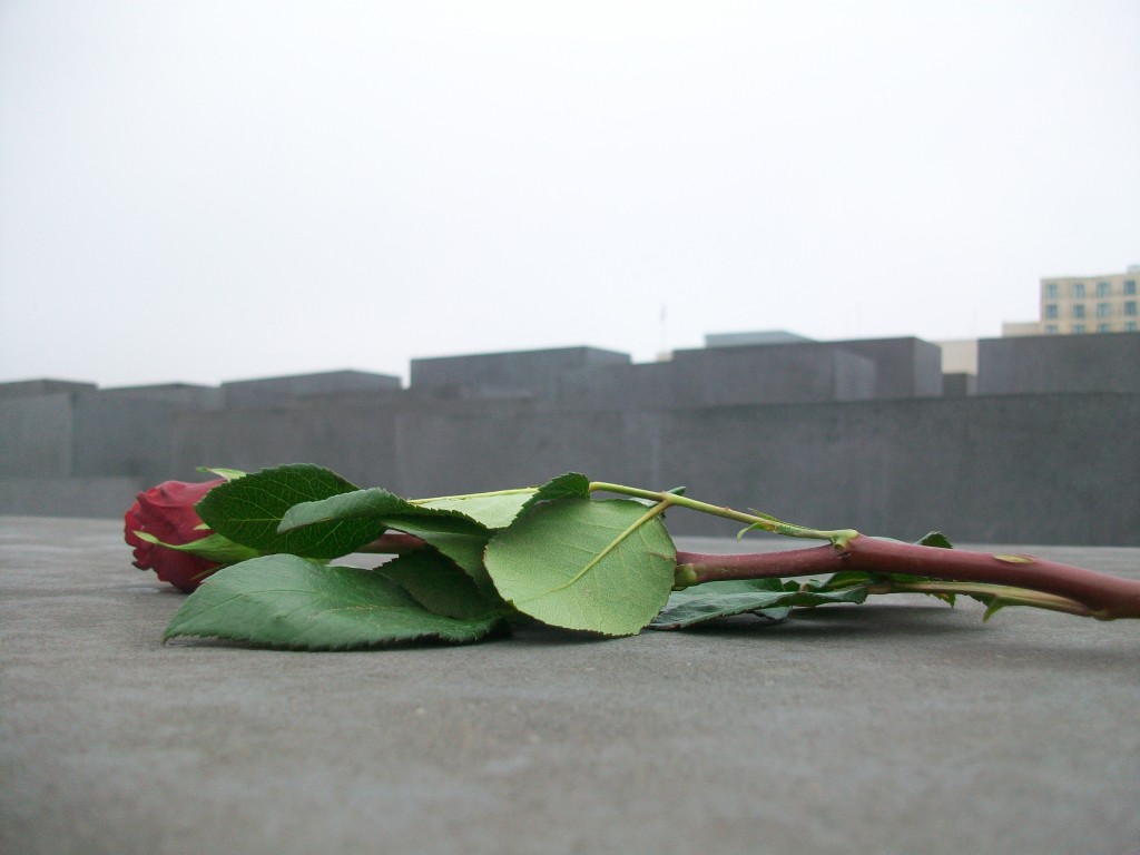 This picture represents a memorial of the Murdered Jews in Europe, a picture that brings many different feelings