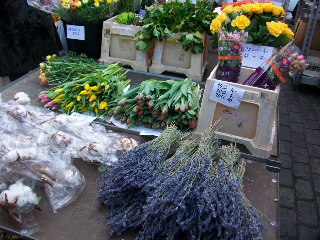 A variety of beautiful fresh flowers 