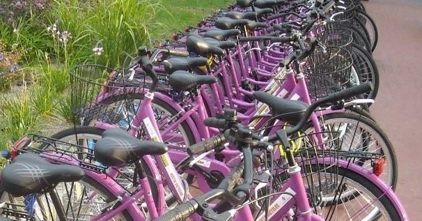 cheap bike rentals near me