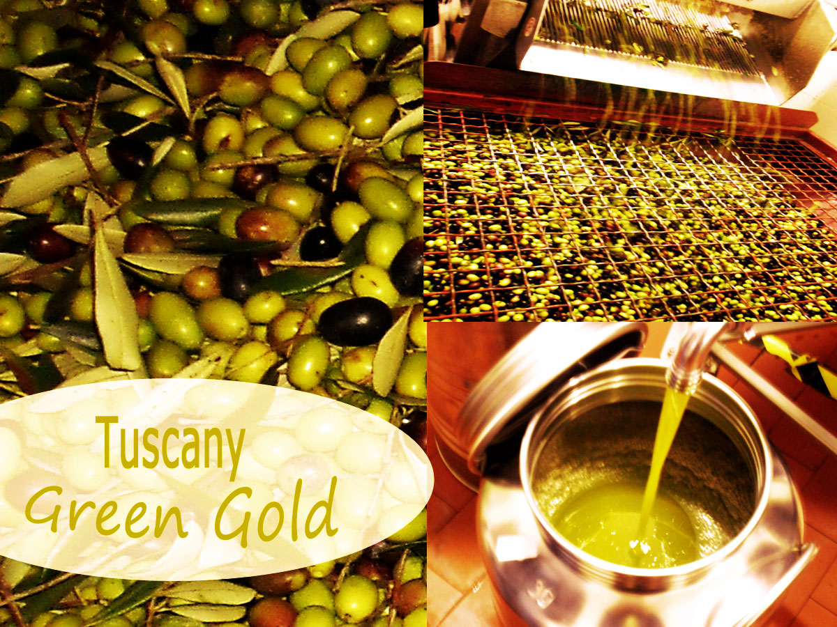 olive oil tuscany 