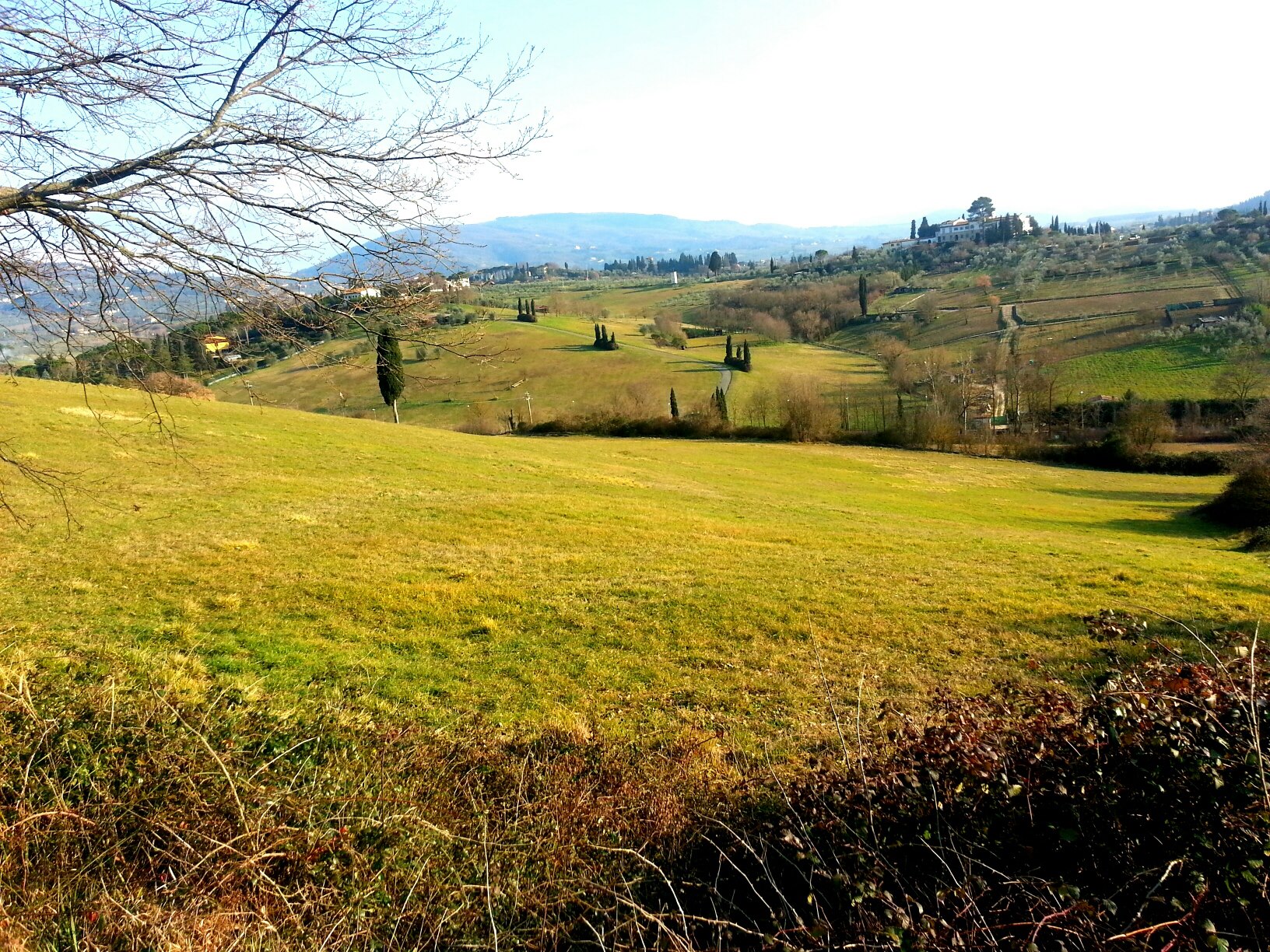 tuscany hills 