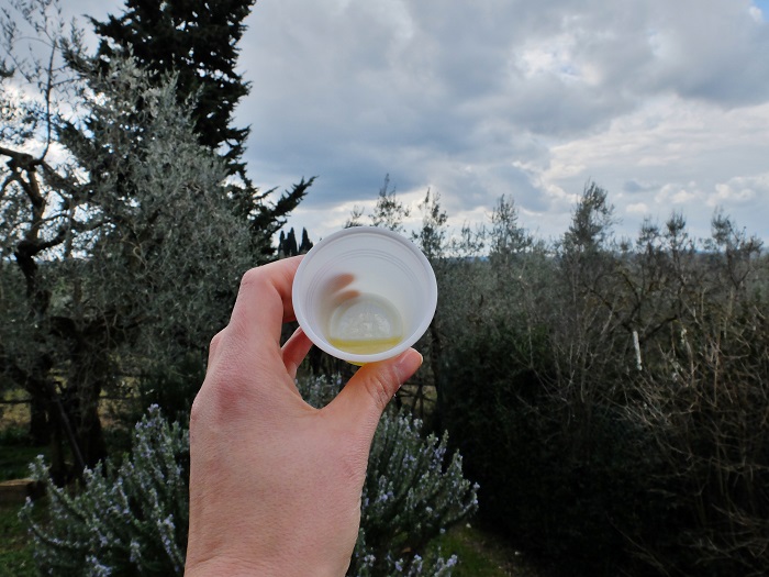 olive oil with a view