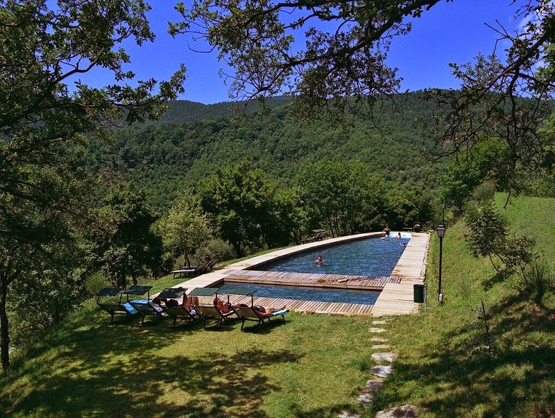 The pool carved into the countryside like it belongs there 