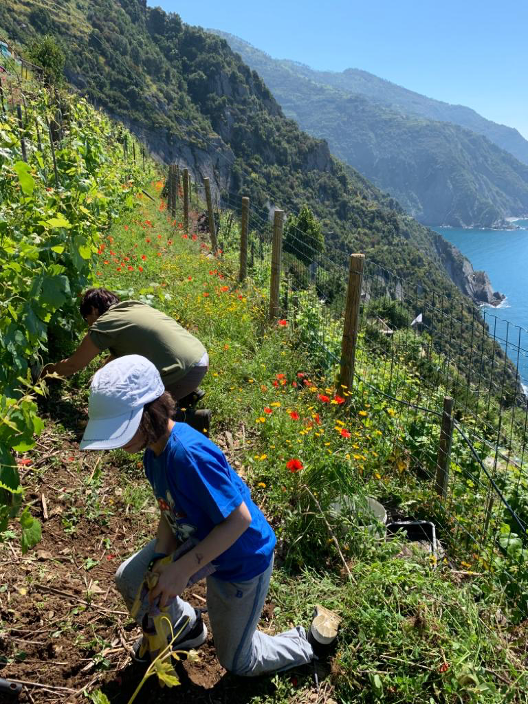 Love Cinque Terre Here S How To Help Save It Girl In Florence